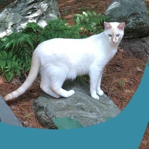 Meet your Posher, Ellen